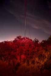 Reflections of an Invader