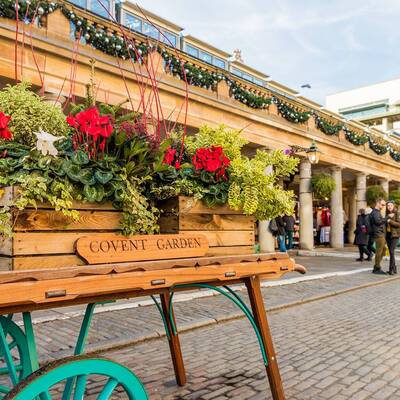 cart with flowers in a sunny courtyard